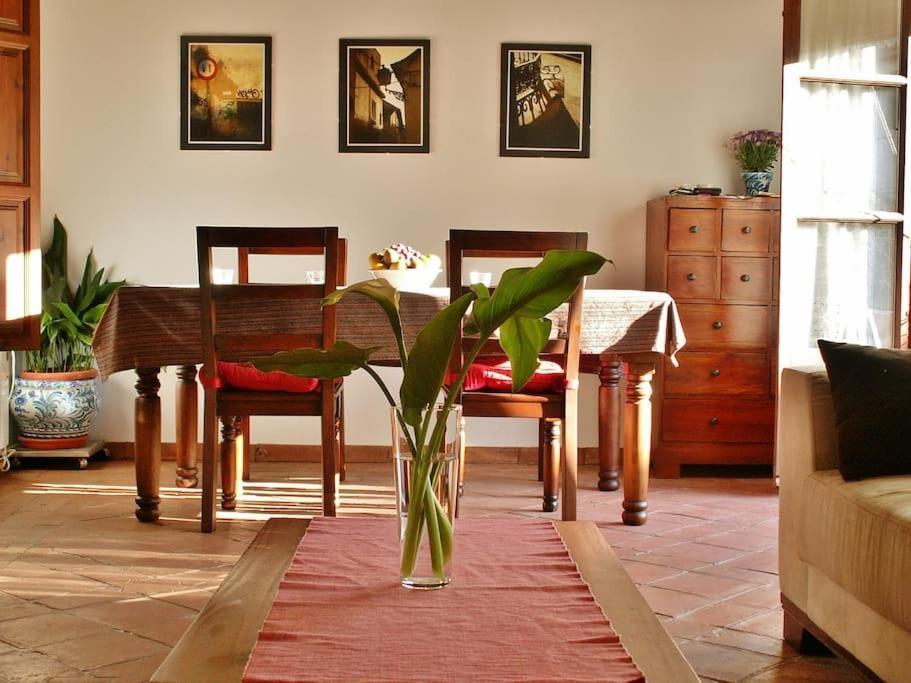 Apartamento Oasis Granada Eksteriør billede